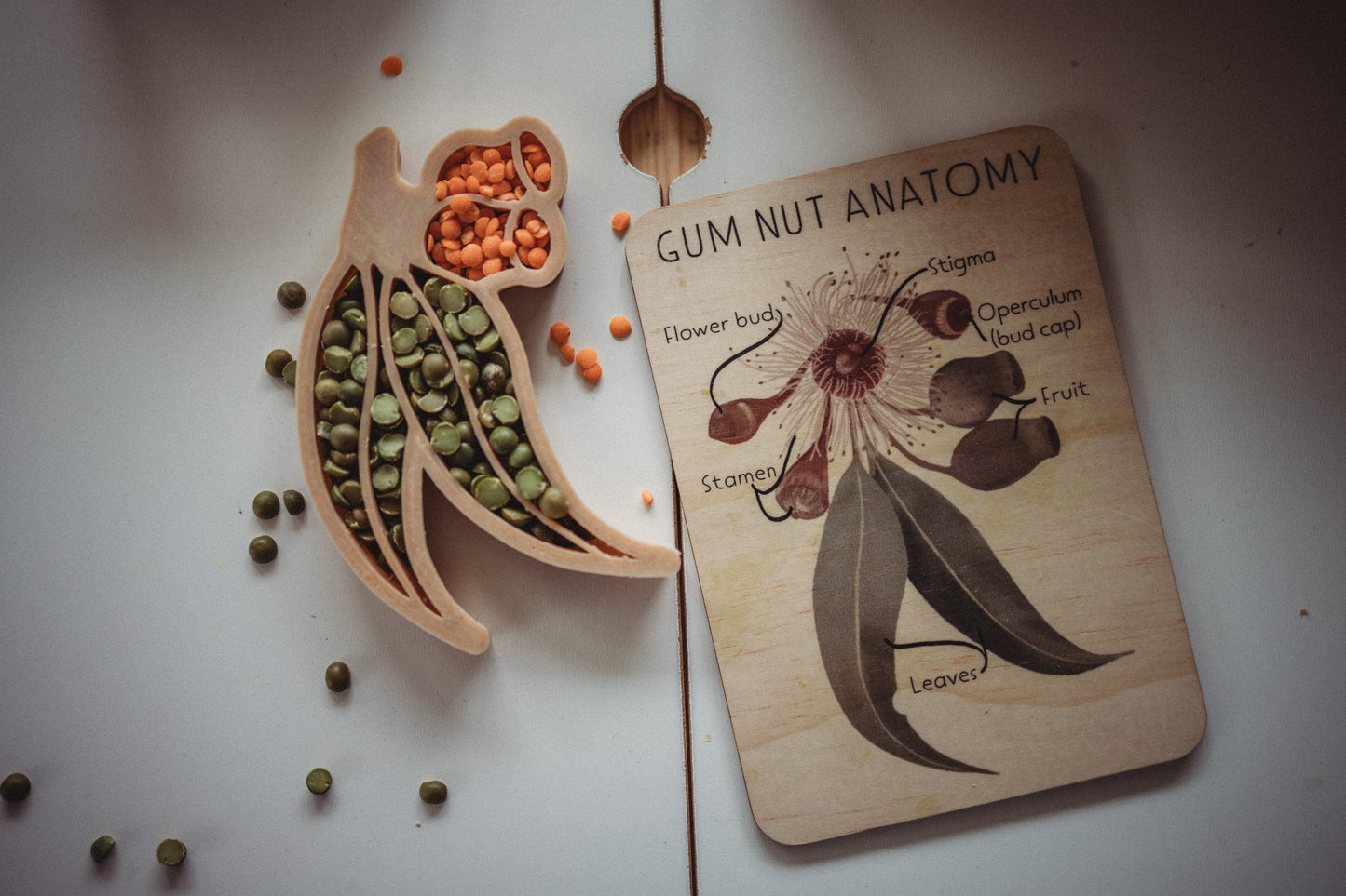 GUMNUT ECO CUTTER