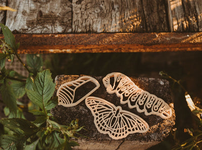 MONARCH BUTTERFLY LIFECYCLE ECO CUTTER SET