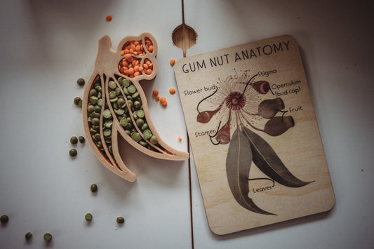 GUMNUT ECO CUTTER