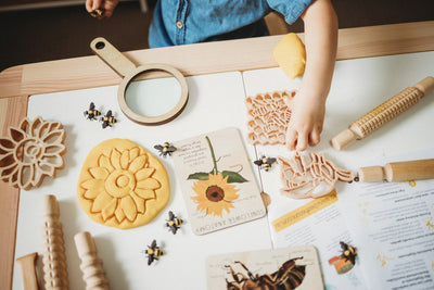 BEE & HONEY COMB ECO CUTTER SET